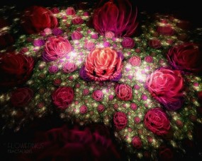  分形艺术花卉 分形艺术图案 华丽分形艺术-炫彩花卉 插画壁纸