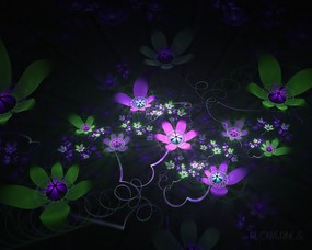  炫彩花卉 分形艺术图片 华丽分形艺术-炫彩花卉 插画壁纸