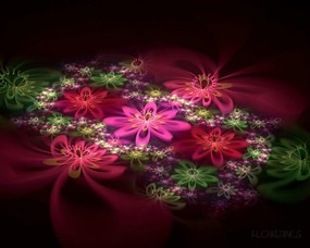  炫彩花卉 几何图形的艺术 华丽分形艺术-炫彩花卉 插画壁纸