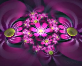  炫彩花卉 分形艺术图片 华丽分形艺术-炫彩花卉 插画壁纸