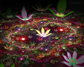  分形艺术花卉 几何图形的艺术 华丽分形艺术-炫彩花卉 插画壁纸