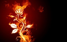  火焰花卉  1920 1200 火焰效果设计壁纸 插画壁纸