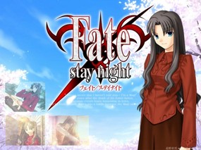 Fate stay night 壁纸59 Fate/stay night 动漫壁纸