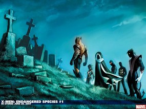 Marvel 漫画英雄壁纸 第十六辑 X man Endangered Speces 2 Marvel 漫画英雄图片 Marvel漫画英雄壁纸(十六) 动漫壁纸