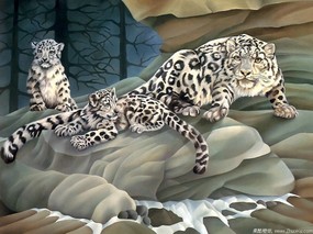 动物写真集(油画风格) 动物壁纸