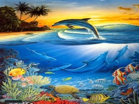 海洋的精灵-海豚（二） 动物壁纸