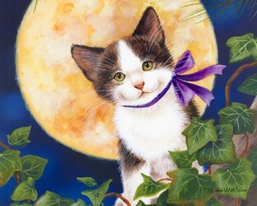 Jane Maday 手绘猫咪壁纸 动物壁纸