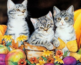 Jane Maday 手绘小猫咪壁纸 三只小猫图片  Jane Maday 手绘猫咪壁纸 动物壁纸