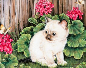 Jane Maday 手绘小猫咪壁纸  手绘猫咪挂历 Jane Maday 手绘猫咪壁纸 动物壁纸
