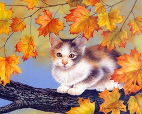 Jane Maday 手绘小猫咪壁纸 秋天小猫图片  Jane Maday 手绘猫咪壁纸 动物壁纸