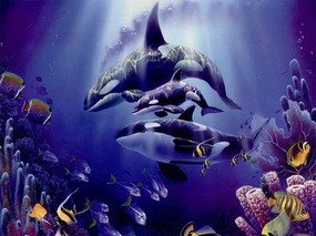 精彩的海底世界 精彩的海底世界 动物壁纸