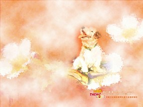 台湾主题酷之梦幻宠物篇  Pet Photo Manipulation Desktop 梦幻宠物壁纸篇 动物壁纸