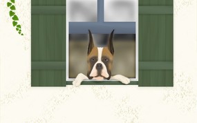  窗外 Painter 手绘小狗狗图片 Painter 柔和插画-我的宠物狗 动物壁纸