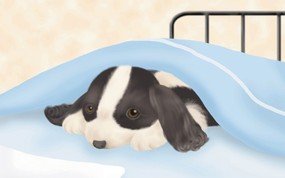  宠物狗狗的插画图片 Painter 柔和插画-我的宠物狗 动物壁纸