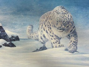 速度与力量 豹 速度与力量--豹 动物壁纸