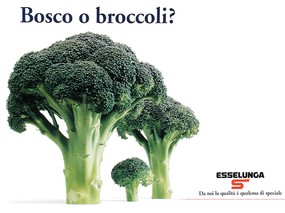 意大利水果广告 壁纸3 意大利水果广告 动物壁纸