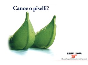 意大利水果广告 壁纸4 意大利水果广告 动物壁纸
