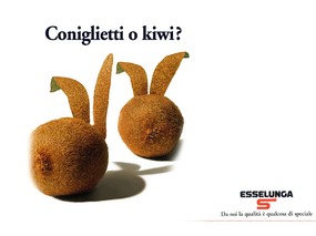 意大利水果广告 壁纸7 意大利水果广告 动物壁纸