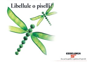 意大利水果广告 壁纸11 意大利水果广告 动物壁纸