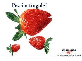 意大利水果广告 壁纸16 意大利水果广告 动物壁纸