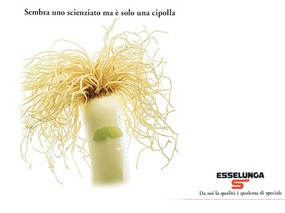 意大利水果广告 壁纸18 意大利水果广告 动物壁纸