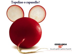 意大利水果广告 壁纸20 意大利水果广告 动物壁纸