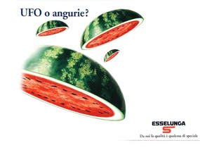 意大利水果广告 壁纸22 意大利水果广告 动物壁纸