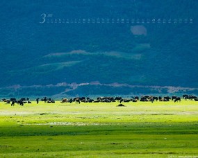 2007摄影月历壁纸 壁纸5 2007摄影月历壁纸 风景壁纸