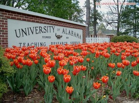 阿拉巴马大学 University of Alabama 壁纸7 阿拉巴马大学-Uni 风景壁纸