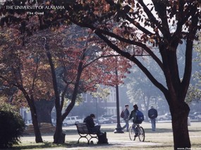 阿拉巴马大学 University of Alabama 壁纸8 阿拉巴马大学-Uni 风景壁纸