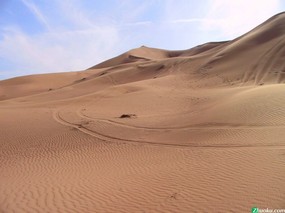 阿联酋风光 壁纸41 阿联酋风光 风景壁纸