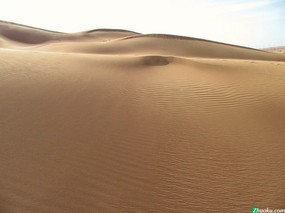 阿联酋风光 壁纸43 阿联酋风光 风景壁纸