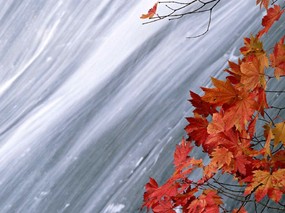 斑斓秋天壁纸 壁纸7 斑斓秋天壁纸 风景壁纸