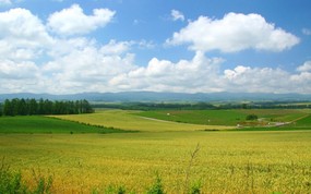  北海道郊外田园壁纸 北海道的郊野 风景壁纸