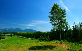  北海道田园美景壁纸 北海道的郊野 风景壁纸