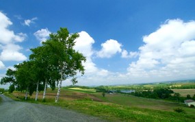  北海道田园美景壁纸 北海道的郊野 风景壁纸
