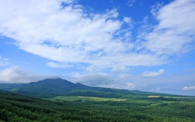 北海道 富良野与美瑛田园 草原摄影壁纸 壁纸13 北海道：富良野与美瑛 风景壁纸