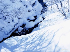  日本北海道雪景壁纸 Desktop wallpaper of hokkaido Japan 北海道之冬 hokkaido Japan 风景壁纸