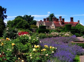  英国园林 Roses and Lavender at Borde Hill Gardens West Sussex O 景色壁纸 Borde Hill Garden 英国庄园园林景色壁纸 风景壁纸