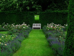  英国园林 The Rose Garden at Chatsworth Derbyshire O 景色壁纸 Borde Hill Garden 英国庄园园林景色壁纸 风景壁纸