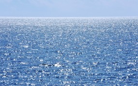 夏日冲绳  冲绳岛图片 波光粼粼的海面 冲绳岛的碧海蓝天 风景壁纸