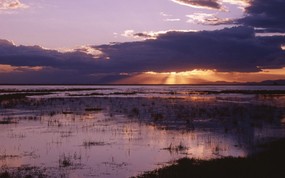 地球瑰宝 大尺寸自然风景壁纸精选 第六辑 Amboseli National Park Kenya 肯尼亚 安波塞利国家公园图片壁纸 地球瑰宝大尺寸自然风景壁纸精选 第六辑 风景壁纸