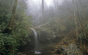 地球瑰宝 大尺寸自然风景壁纸精选 第六辑 Quiet Waterfall Great Smoky Mountains National Park Tennessee 田纳西州 大雾山国家公园图片壁纸 地球瑰宝大尺寸自然风景壁纸精选 第六辑 风景壁纸