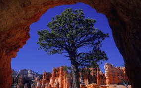 地球瑰宝 大尺寸自然风景壁纸精选 第六辑 Natural Framing Bryce Canyon Utah 犹他 布莱斯峡谷国家公园图片壁纸 地球瑰宝大尺寸自然风景壁纸精选 第六辑 风景壁纸