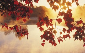 日出晨雾中的秋景壁纸 地球瑰宝大尺寸自然风景壁纸精选 第六辑 风景壁纸