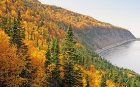 加拿大 佛罗伦国家公园秋色壁纸 地球瑰宝大尺寸自然风景壁纸精选 第六辑 风景壁纸