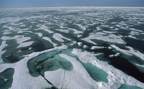 北冰洋 块状浮冰壁纸 地球瑰宝大尺寸自然风景壁纸精选 第六辑 风景壁纸