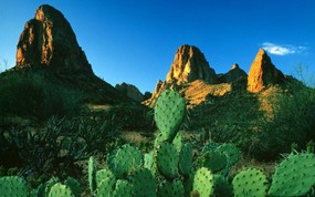 地球瑰宝 大尺寸自然风景壁纸精选 第一辑 Sunrise Light on Prickly Pear Cacti and the Superstition Mountains Apache Trail Arizona 亚利桑那州 迷信峰 迷神山 仙人掌图片壁纸 地球瑰宝大尺寸自然风景壁纸精选 第一辑 风景壁纸