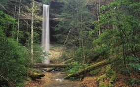 地球瑰宝 大尺寸自然风景壁纸精选 第一辑 Yahoo Falls Daniel Boone National Forest Kentucky 肯塔基州 丹尼尔 布恩国家森林 图片壁纸 地球瑰宝大尺寸自然风景壁纸精选 第一辑 风景壁纸