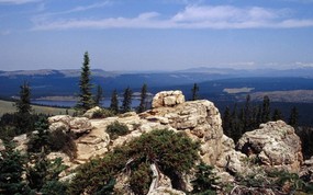 怀俄明州 大角羊国家森林壁纸 地球瑰宝大尺寸自然风景壁纸精选 二 风景壁纸